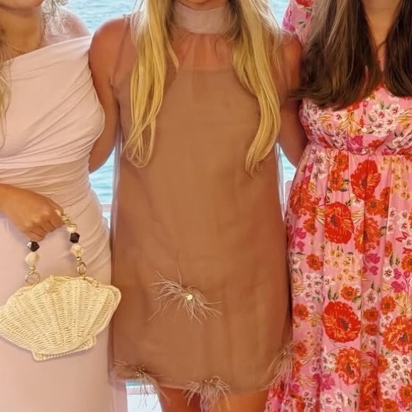 Elegant Sheer Brown Dress - Picture 3 of 3